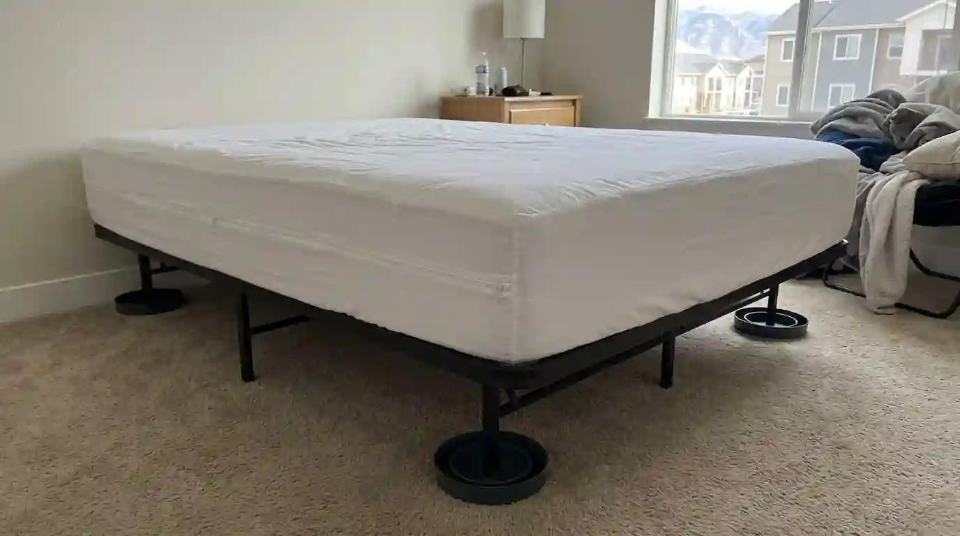 Mattress encasement and bed leg interceptors